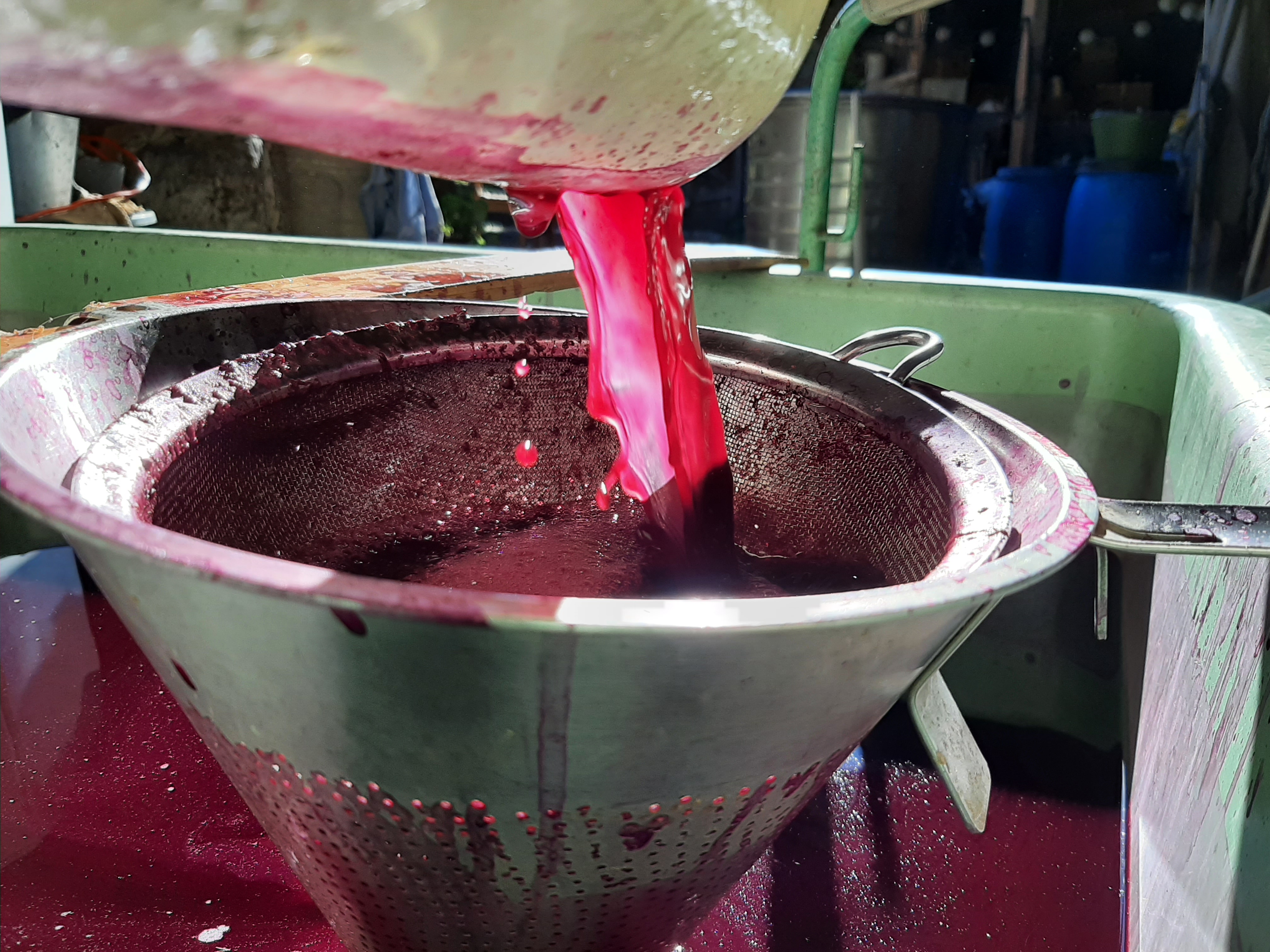 junger Rotwein